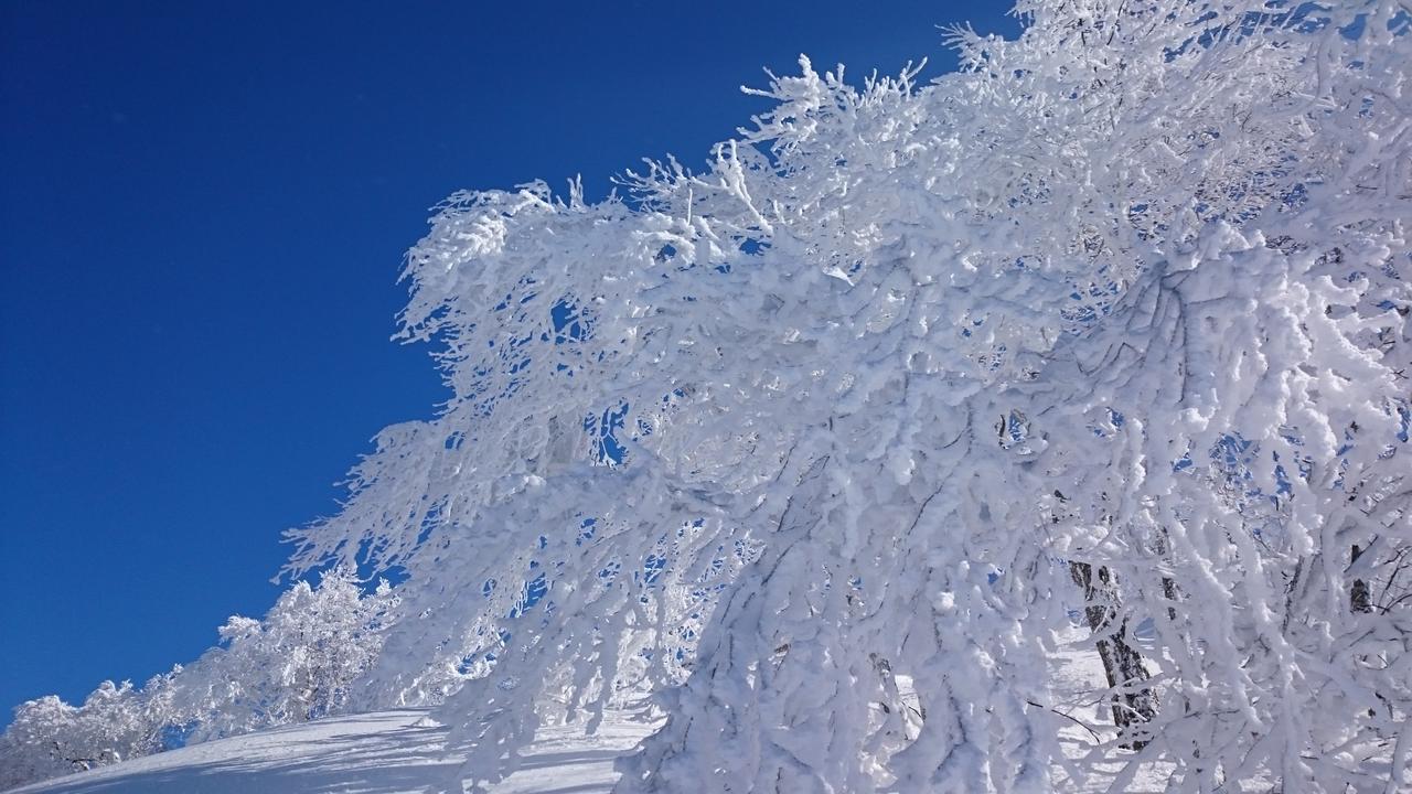 Nozawa Dream 호텔 외부 사진
