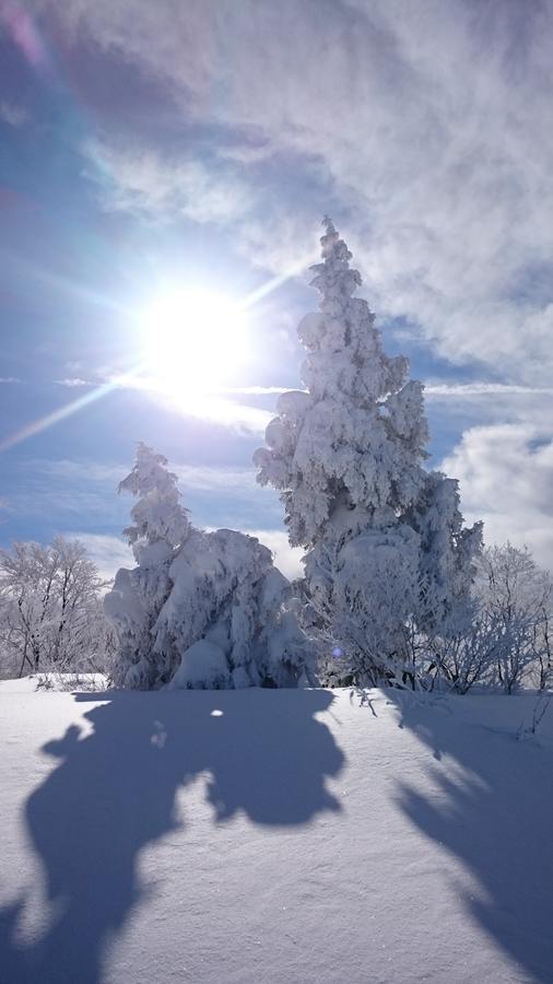 Nozawa Dream 호텔 외부 사진